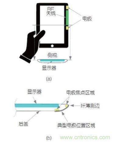 (a)側(cè)剖視圖描述；(b)電極焦點(diǎn)區(qū)域描述