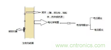 仿生傳感器的定義、原理、分類及應(yīng)用