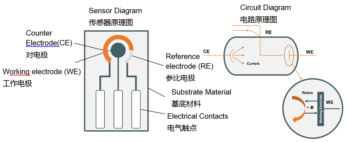 電化學(xué)感知技術(shù)的新時代