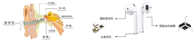 骨振動(dòng)傳感器在TWS耳機(jī)中的應(yīng)用